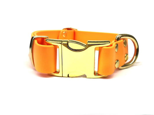 Tangerine Orange Waterproof Metal Clasp Dog Collar