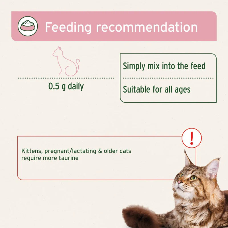 Feeding recommendation for cats  