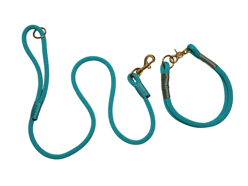 Teal rope collar and lead