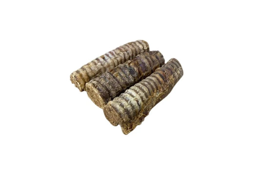 Collagen filled Trachea