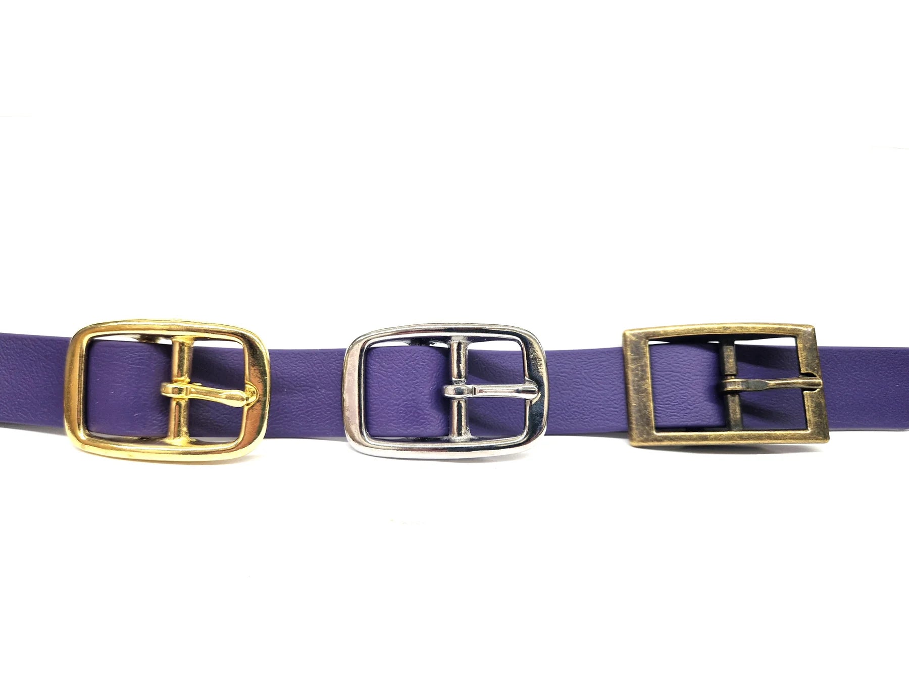 Violet Dog collar buckles