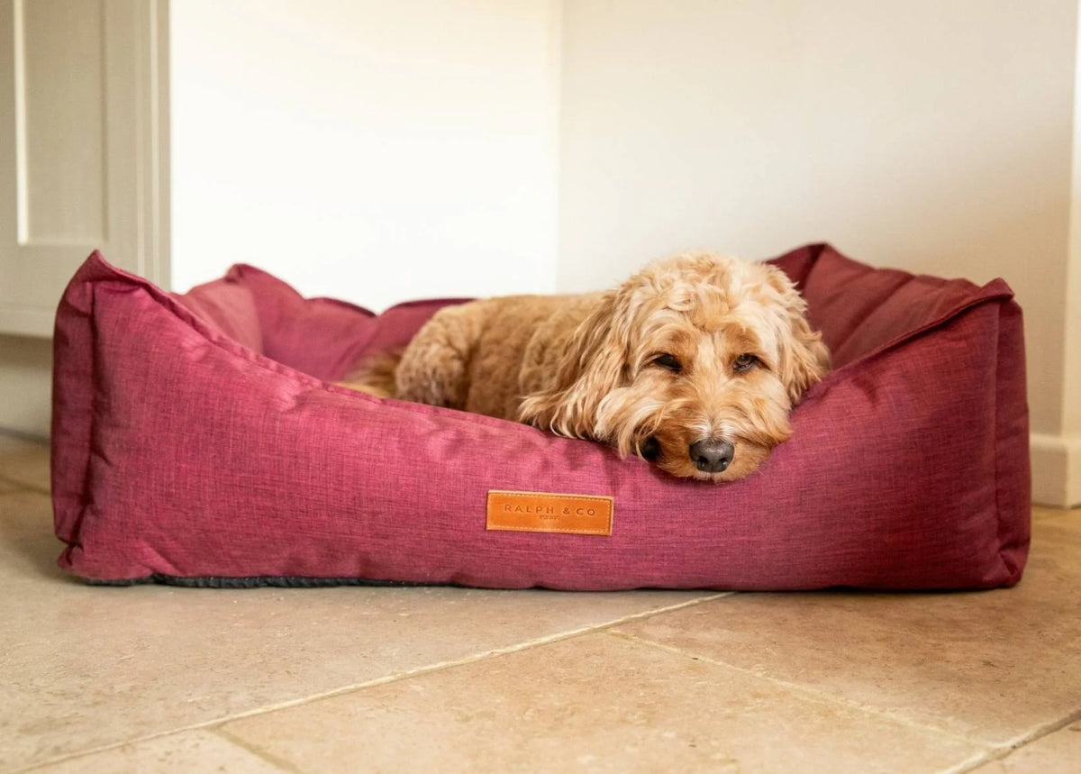 Ralph & Co Ascot Waterproof Dog Bed 