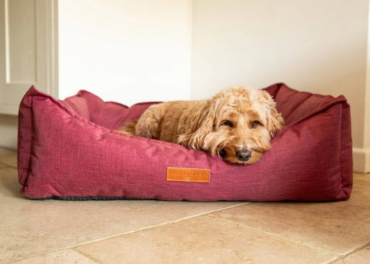 Ralph & Co Ascot Waterproof Dog Bed 