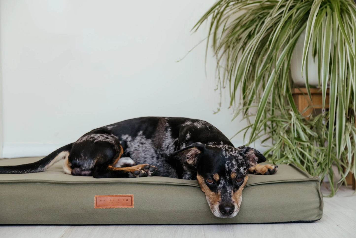 Ralph & Co Henley Waterproof Memory Foam Orthopaedic Dog Bed