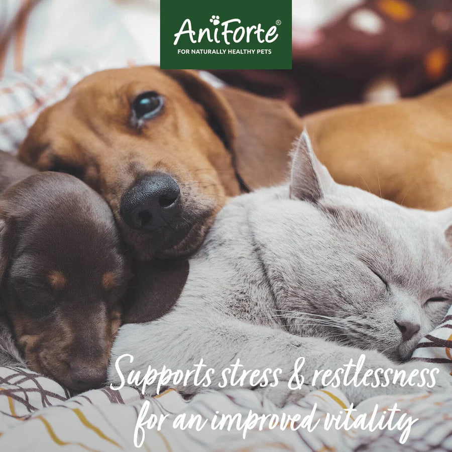 Aniforte wellbeing globules properties