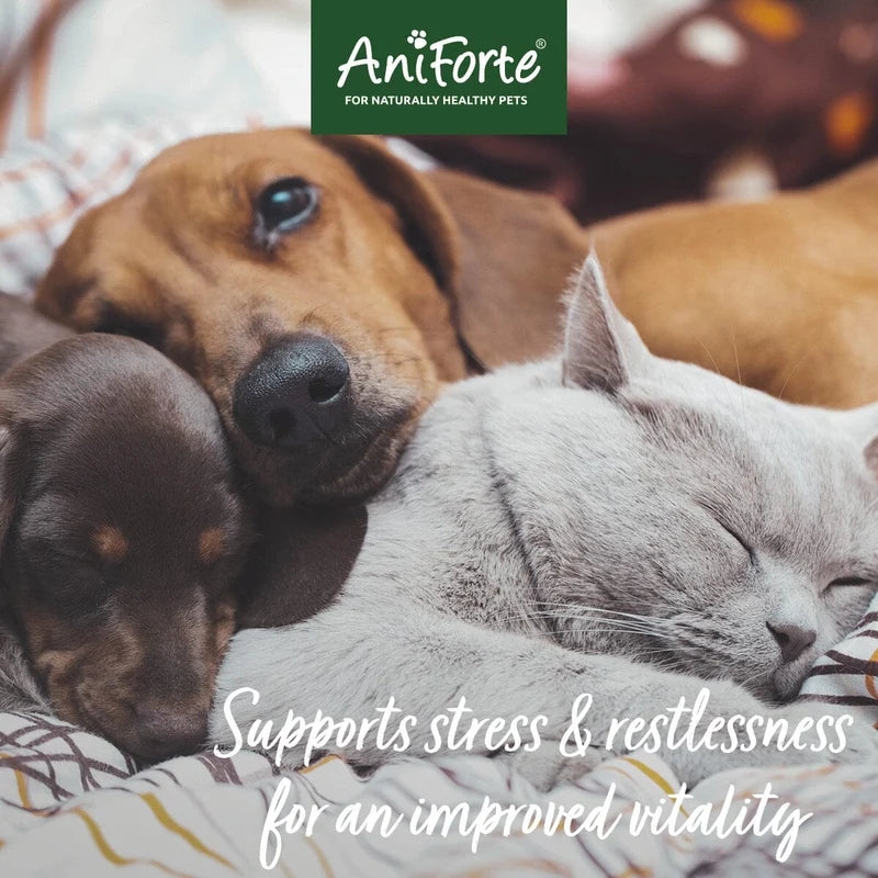 AniForte Bach Flower Wellbeing Globules for Dogs & Cats - Supports Stress and Restlessness