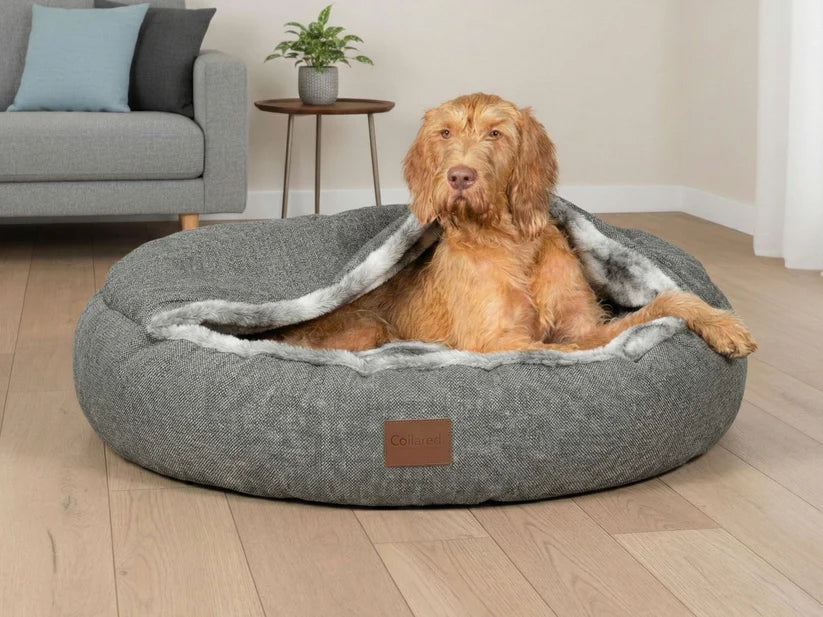 Classic Cocoon Bed perfect for dogs who like to burrow