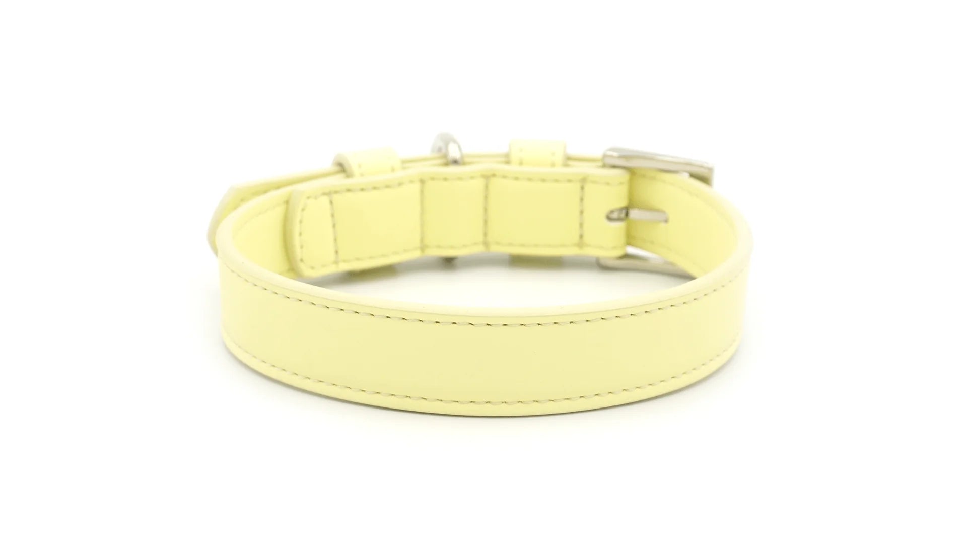 Light yellow dog collar on a white background