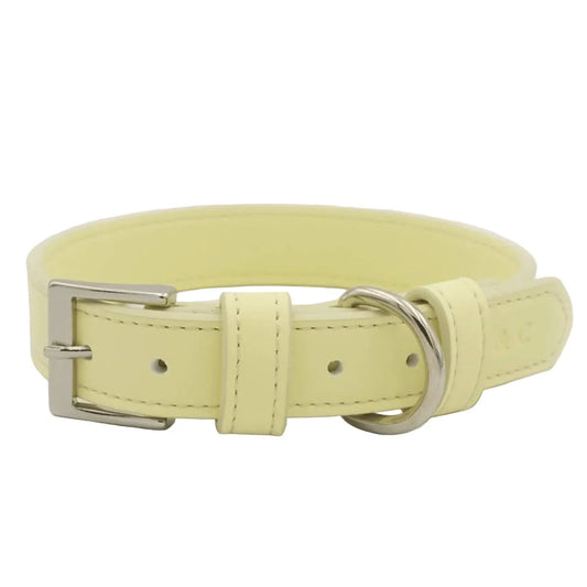 Yellow Luxury Vegan Leather Dog Collar | Ralph & Co.
