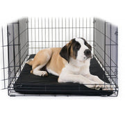 Dog crate mat Waterproof 