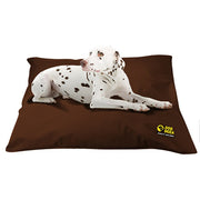 Dog Doza Memory Foam Cushion Bed brown